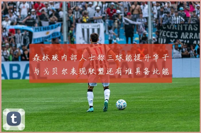 森林狼内部人士称三球能提升华子与戈贝尔表现联盟还有谁具备此能力